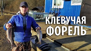 Платная рыбалка в пионерском калининградской области
