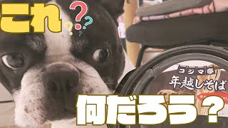 初めての年越し蕎麦🐶