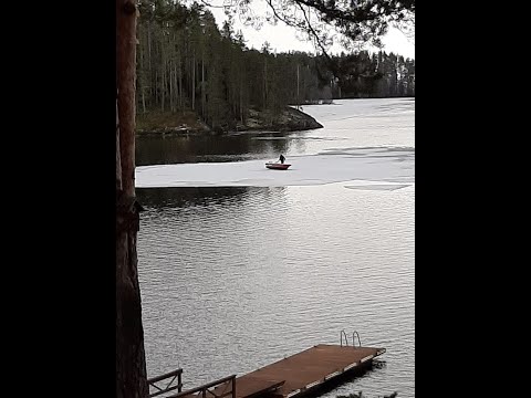 Ahvenen Kalastusta Kallavesi (Perch fishing Kallavesi Finland)