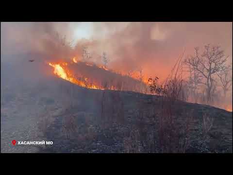 Крупный природный пожар ликвидирован в крае.