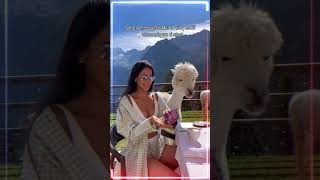 Download lagu The Fitness Pioneer Who Built Instagram's First Body Empire 👑 #shorts mp3 Download lagu The Fitness Pioneer Who Built Instagram's First Body Empire 👑 #shorts mp3