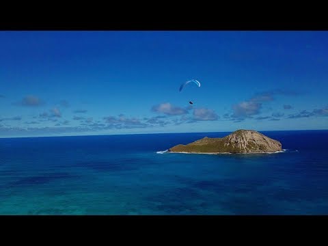 Paragliding Oahu Hawaii - 4K