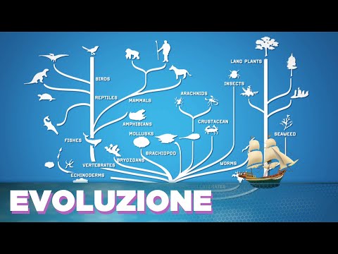 Big Bang! Un Viaggio nell'Evoluzione - L'Evoluzione con Telmo Pievani