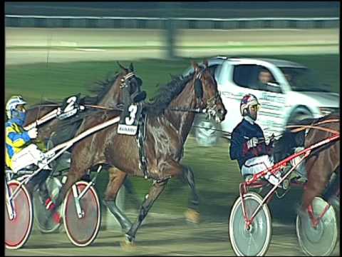 Trotto 02/12/2016 - 5ª corsa