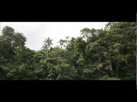 Vtgnike x Under the clouds