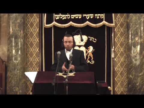 Cantor Yaakov Stark  - Misratze Berachamim | חזן יעקב יוסף שטארק - מתרצה ברחמים