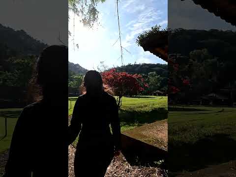 "Pouca gente conhece esse paraíso escondido em Minas Gerais..." 😍🌿