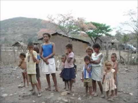 Casas De Carton video