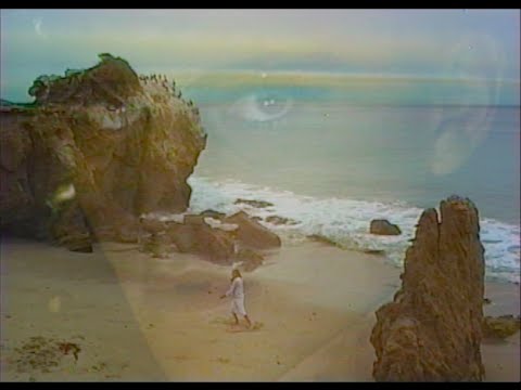 Palmbomen II - Carina Sayles [Official Video]