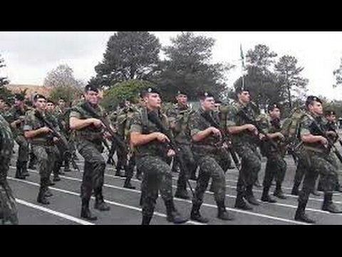 canção de TFM- não foi OURO,nem foi PRATA!!!!