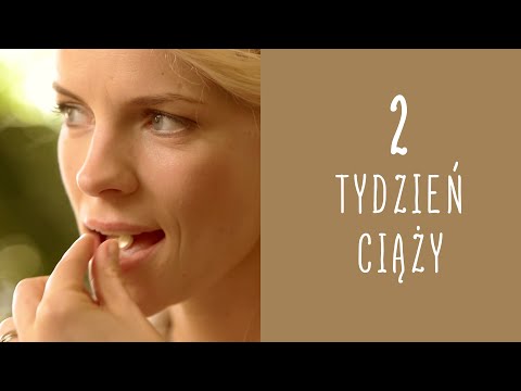 2 tydzień ciąży