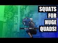 SQUATS FOR HUGE QUADS | Ab Salute | Leg workout