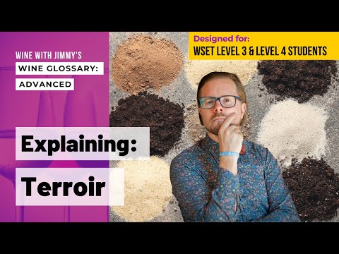WSET Level 3 and WSET Level 4 (WSET Diploma): Explaining Wine Terminology - Terroir