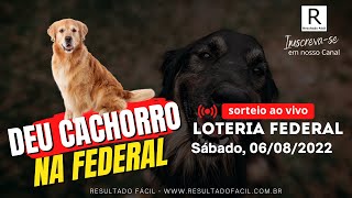Federal ao vivo, Sábado, 06/08/2022 - Resultado Fácil!