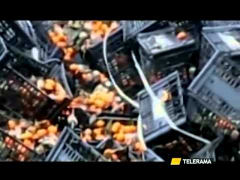 SQUINZANO      QUINTALI DI FRUTTA GETTATI NELL'ULIVETO, UNO SCEMPIO FILMATO