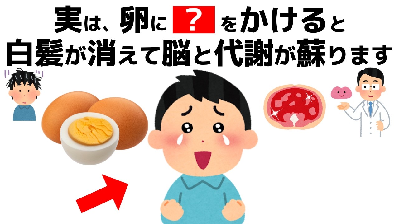 【40代から必須】卵の最強の食べ方は！脳のゴミを掃除し白髪を防ぐ最強の卵習慣【誰かに話したくなる健康雑学】