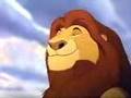 Circle Of Life Speeded