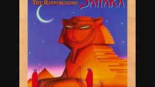 The Rippingtons -  True Companion
