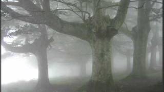 La niebla (M-Clan - Cover/Versión)