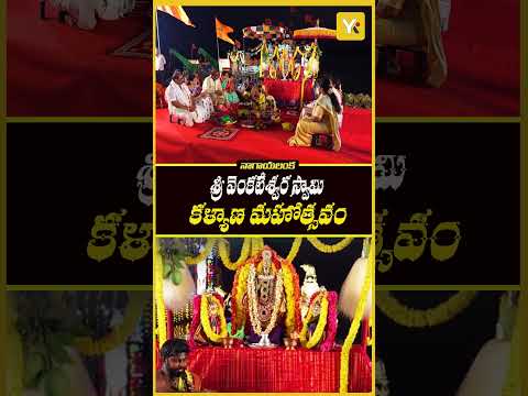 శ్రీ వెంకటేశ్వర స్వామి కళ్యాణ మహోత్సవం | Nagayalanka | YK TV Network