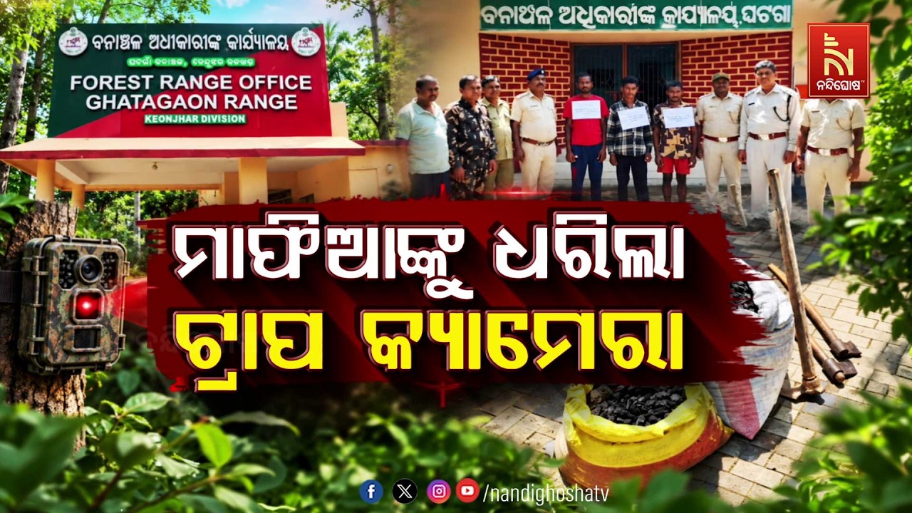 🔴Live | ମାଫିଆଙ୍କୁ ଧରିଲା ଟ୍ରାପ କ୍ୟାମେରା