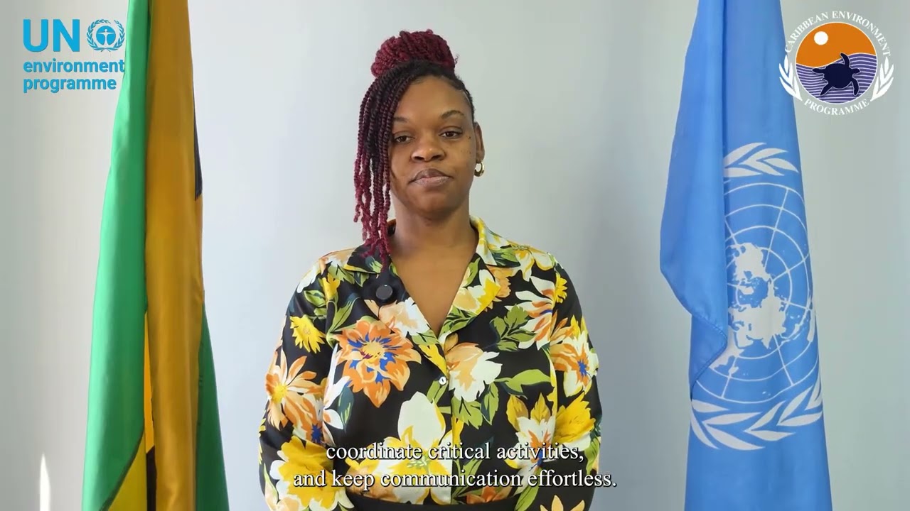 Meet the Staff of the Cartagena Convention Secretariat: Jhenelle Barrett Cohen