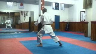 preview picture of video 'PİNAN NİDAN - WADO-RYU  ( Küçükköy Karate Spor Kulübü -Türkiye )'