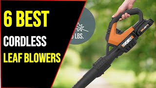 ✅6 Best Cordless Leaf Blowers In 2021 With Buying Guide