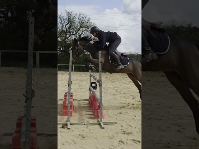 Ponette de sport - 5 ans - D - PFS