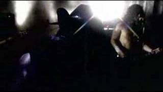 Imperial Vipers "Kick A Hole" Video