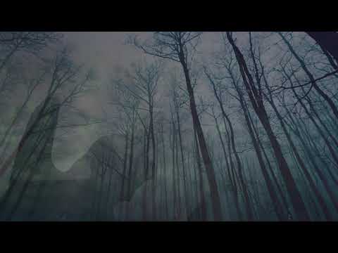 A Covenant of Thorns - Ashes (Teaser 1)