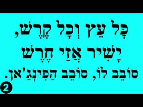 Hafinjan / Hafeenjan - Posnack Choir Version