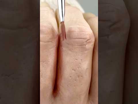 This is the Last Time I’m Going to Ask! I Promise.