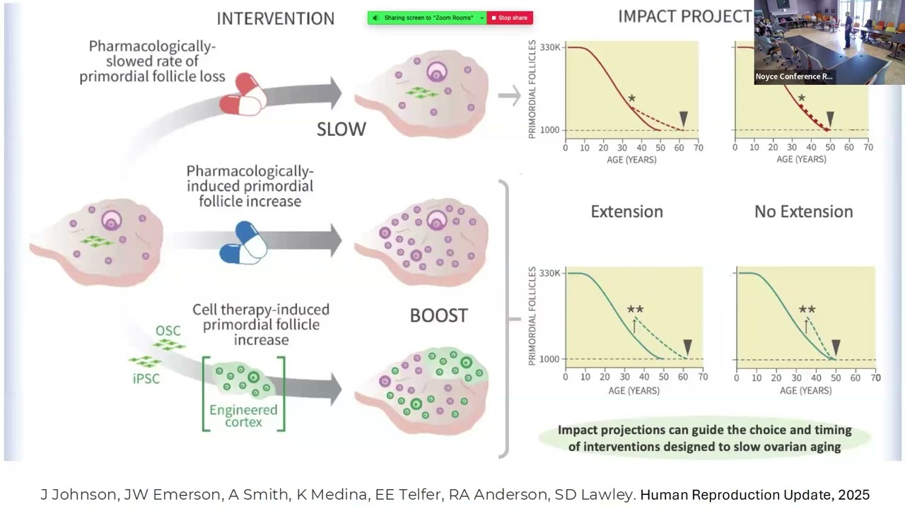 Stochastics in Medicine: Delaying Menopause and Missing Drug Doses