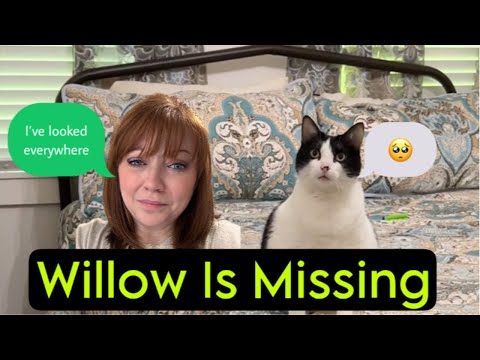 Talking Furballs | Voiceover | #9