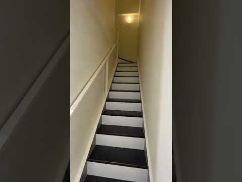 照片