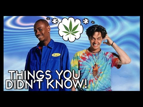 9 Things You (Probably) Didn’t Know About Half Baked! Video