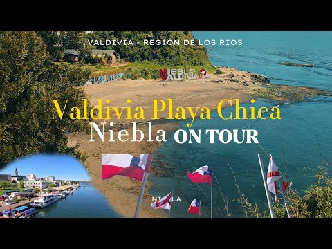 Ven a CONOCER La Playa Chica de Niebla , Valdivia REGIÓN DE Los Ríos 🇨🇱🌞 #Valdivia 
