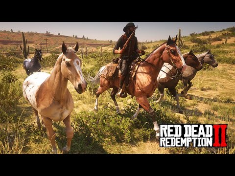 Taming the BEST HORSES in the DESERT - The Horse Tamer - 58