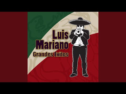 L'arlequin De Tolède