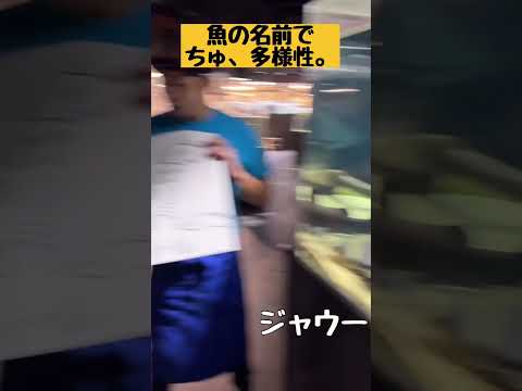 ペットの魚の名前