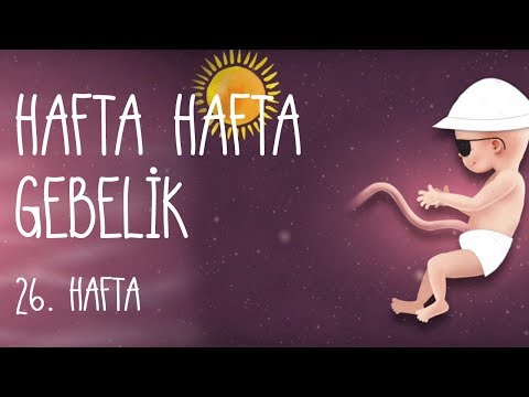 Hafta Hafta Gebelik 26. hafta