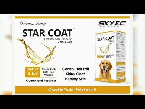 Star Coat Skin And Coat Tonic