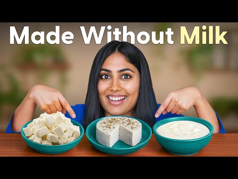 We Made Paneer, Cheese & Dahi Without a Drop of Cow Milk!