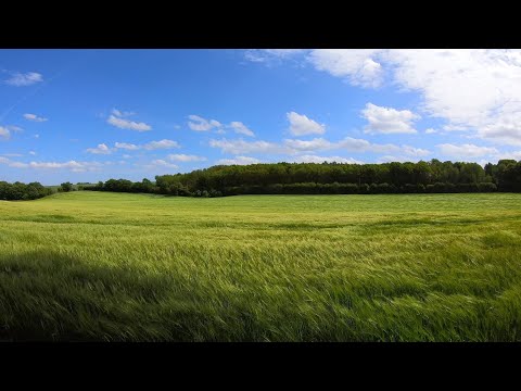 𝑹 𝑨 𝑰 𝑵 𝑩 𝑶 𝑾  –  𝑮𝑰𝑹𝑳 𝑰𝑵 𝑪𝑶𝑳𝑳𝑰𝑺𝑰𝑶𝑵 (A remix of Chris Rainbow's Girl in Collision)