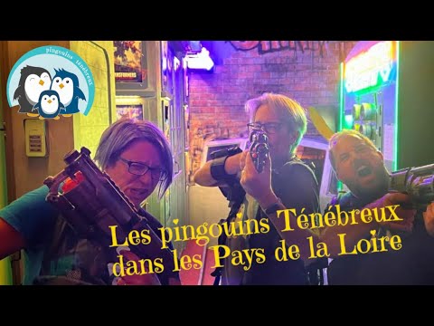 Aperçu de la vidéo