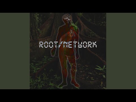 Orange Mist Wood Nymphs