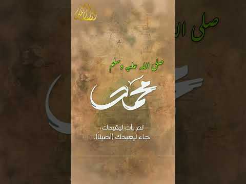 لعبة القطيع.. هل تقود حياتك أم تُقاد؟