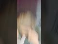 Baazigar Main Baazigar Song Tik Tok Video