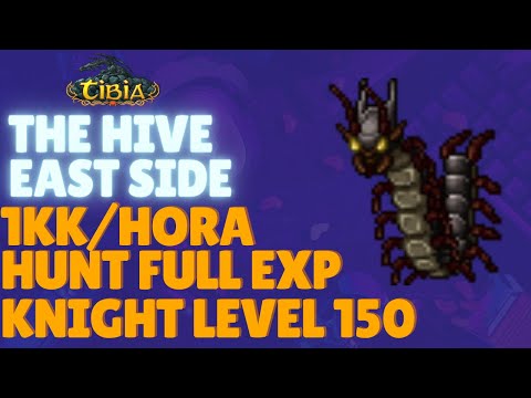 [TIBIA] - EK HUNT SOLO THE HIVE LADO DIREITO | 1,3KK/H DE EXP HUNT FULL XP E PROFIT LEVEL 130+